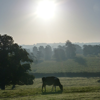 Buy canvas prints of  English Countryside Sunrise by Stephen Cocking