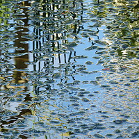 Buy canvas prints of Reflections on Water by Stephen Cocking