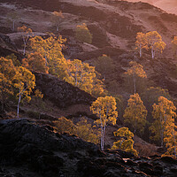 Buy canvas prints of Sunrise at Holme Fell by Dan Ward