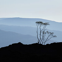 Buy canvas prints of Morning Blues, The Lake District by Dan Ward