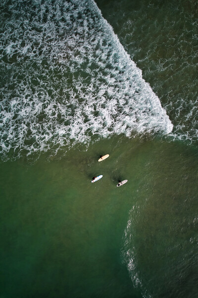 Three go Surfing Picture Board by Dan Ward