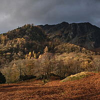 Buy canvas prints of Golden Light on Castle Crag, The Lake District by Dan Ward