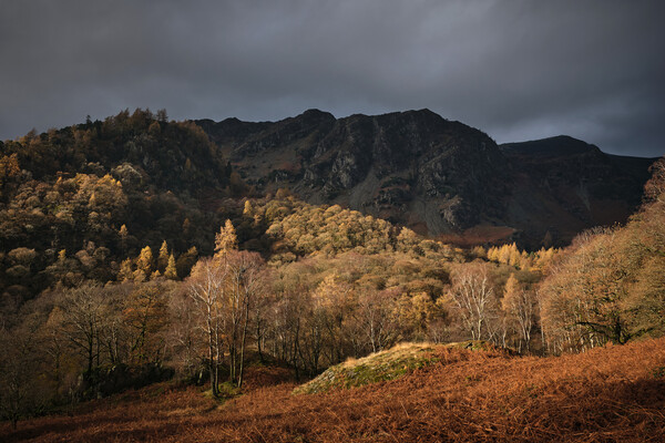 Golden Light on Castle Crag, The Lake District Picture Board by Dan Ward