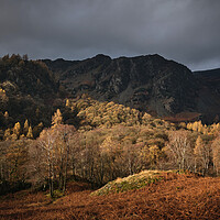Buy canvas prints of Golden Light on Castle Crag, The Lake District by Dan Ward
