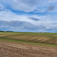 Buy canvas prints of Yorkshire Wolds by Dan Ward