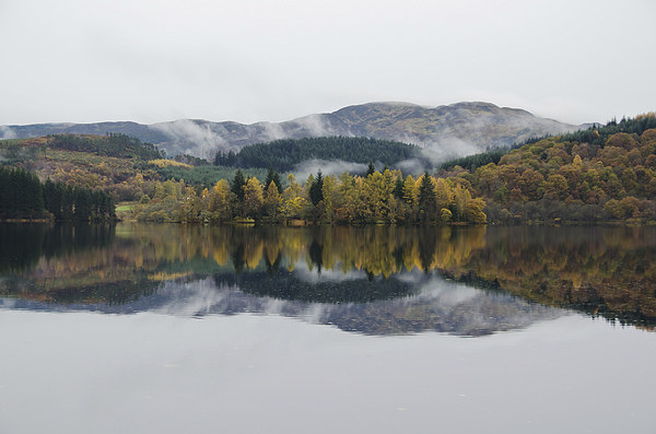 Loch Ard autumn reflections Picture Board by Dan Ward