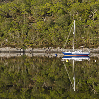Buy canvas prints of Sailing boat reflections by Dan Ward