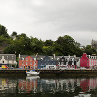 Buy canvas prints of Tobermory houses, Mull by Dan Ward