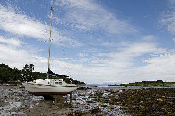Yacht at Glenuig beach, ardnamurchan Picture Board by Dan Ward