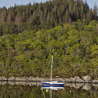 Buy canvas prints of Sailing boat reflections on loch Sunart by Dan Ward