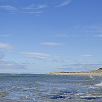 Buy canvas prints of Bamburgh Castle and beach by Dan Ward