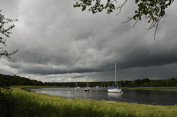 Stormy skys over Beaulieu river Picture Board by Dan Ward