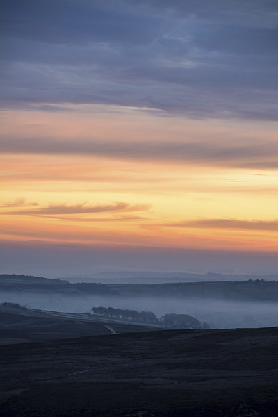 Misty Morning Sunrise Picture Board by Dan Ward