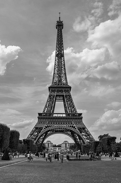  Eiffel Tower Picture Board by Dan Ward