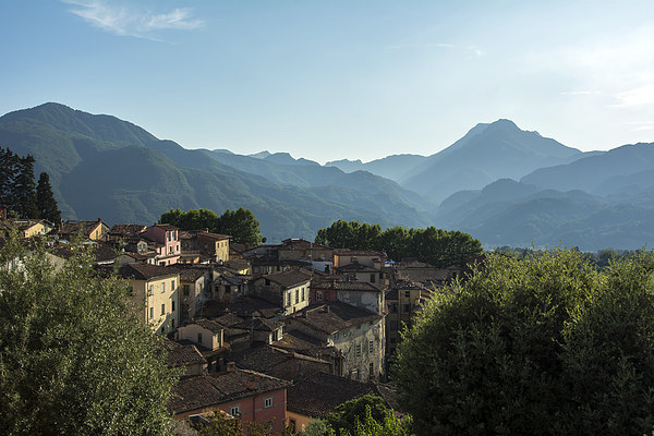  Roof tops of Barga, Tuscany Picture Board by Dan Ward