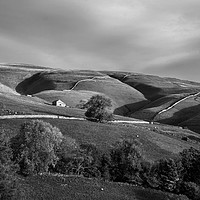 Buy canvas prints of Single barn in the Yorkshire Dales by Dan Ward