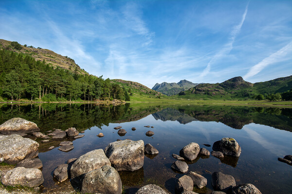 Blea Tarn Reflections, The Lake District Picture Board by Dan Ward