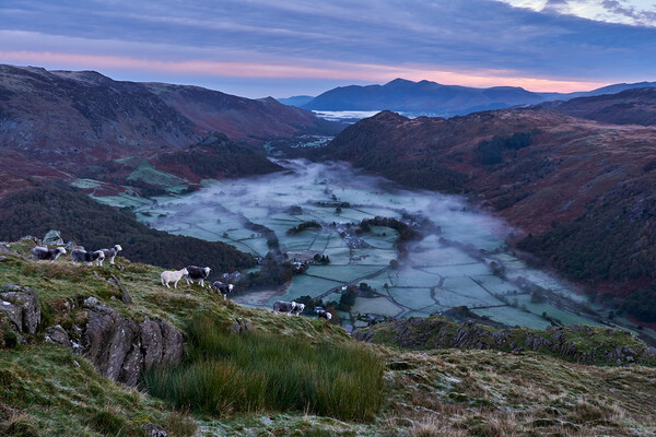 Dawn breaks over Borrowdale, The Lake District Picture Board by Dan Ward