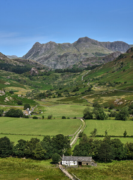 A Summers day in Little Langdale, The Lake District Picture Board by Dan Ward