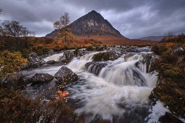 Autumn colours at Buachaille Etive Mor Picture Board by Dan Ward