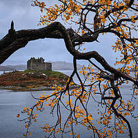 Buy canvas prints of Autumn colours at castle Tioram, West Scotland by Dan Ward