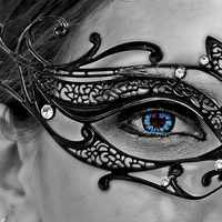 Buy canvas prints of Stunning eye thru an elegant mask by Tom and Dawn Gari