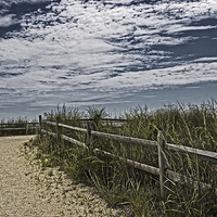 Buy canvas prints of Pathway To The Sea by Tom and Dawn Gari