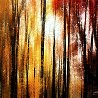 Buy canvas prints of  Fall Abstract by Tom and Dawn Gari
