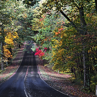 Buy canvas prints of  Fall Colors Of Skyline Drive by Tom and Dawn Gari