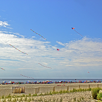 Buy canvas prints of  Kites Flying Over The Sand by Tom and Dawn Gari