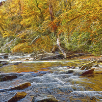 Buy canvas prints of  Stream In The Woods by Tom and Dawn Gari