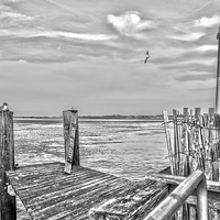 Buy canvas prints of  Barnegat Lighthouse Black and White by Tom and Dawn Gari