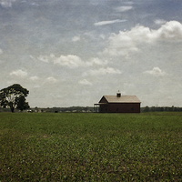 Buy canvas prints of  Farmland by Tom and Dawn Gari
