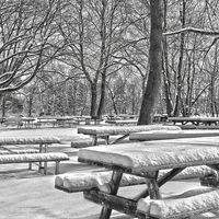 Buy canvas prints of  Picnic Tables In The Snow by Tom and Dawn Gari