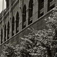 Buy canvas prints of  Franklin Field by Tom and Dawn Gari