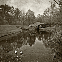 Buy canvas prints of  Mabry Mill in Black and White by Tom and Dawn Gari