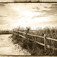 Buy canvas prints of  Sepia Pathway To The Sea  by Tom and Dawn Gari