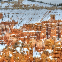 Buy canvas prints of Bryce NP USA by Gurinder Punn