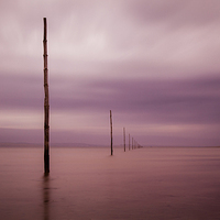 Buy canvas prints of Holy Island causeway markers by David Preston