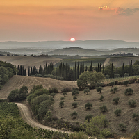 Buy canvas prints of Tuscan Sunset by David Preston