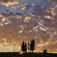 Buy canvas prints of Sunset in Tuscany by David Preston