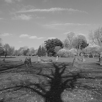 Buy canvas prints of Stone Circle, Cardiff by Richard Parry