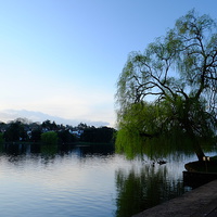 Buy canvas prints of Roath Park Morning by Richard Parry