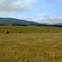 Buy canvas prints of Brecon Bales by Richard Parry