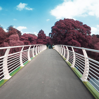 Buy canvas prints of  Cardiff Bridge Infra Red by Richard Parry