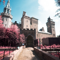 Buy canvas prints of  Cardiff Castle Infrared by Richard Parry