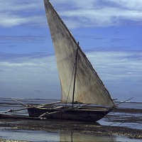 Buy canvas prints of JST2670 Arab Dhow, Mombasa by Jim Tampin