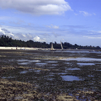 Buy canvas prints of JST2667 Shanzu beach low tide by Jim Tampin