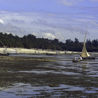 Buy canvas prints of JST2666 Shanzu beach, Mombasa by Jim Tampin