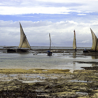 Buy canvas prints of JST2753 Dhows at low tide by Jim Tampin